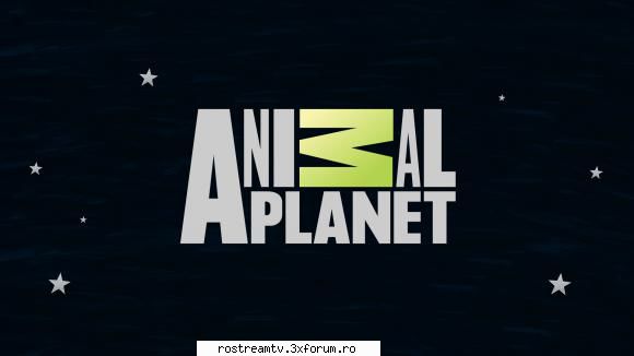 Animal Planet - Watch Animal Planet LIVE ONLINE Download: Stream - TV Documentary