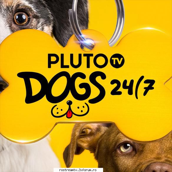 Pluto TV - Dogs - Watch Pluto TV - Dogs LIVE ONLINE Download - TV Documentary